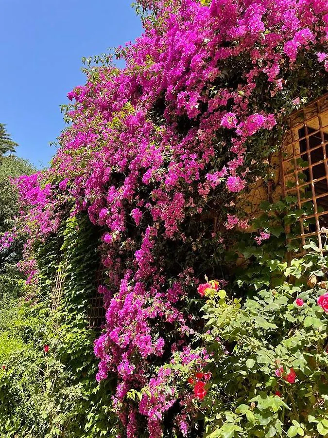 Can Codol De Fluvia - Casita Torroella de Fluviá 0*,  Spanje